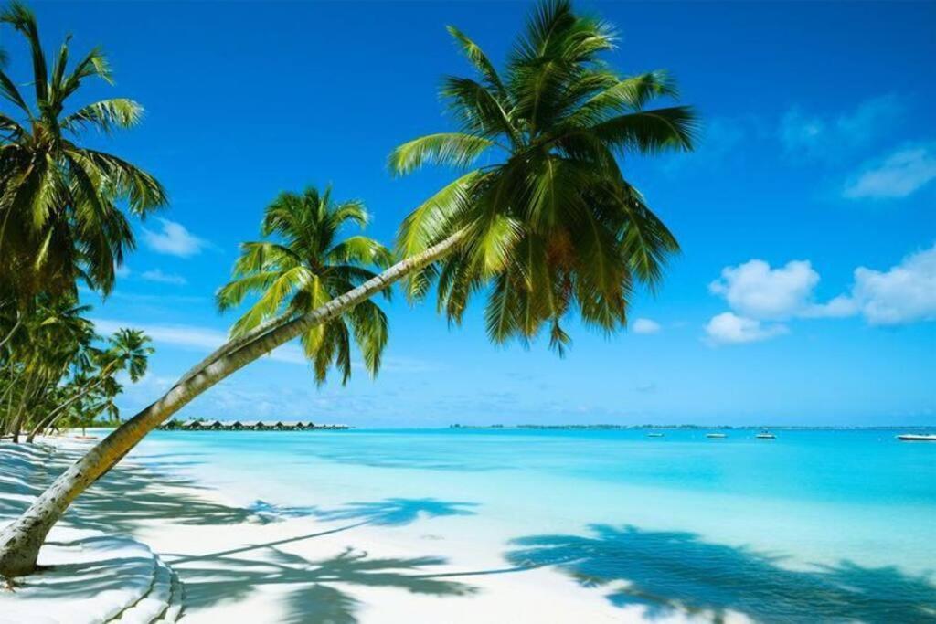 Apartment Beachfront Le Cerisier Trou Aux Biches, Mon Choisy Mont-Choisy